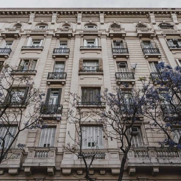 low-angle-concrete-building-city-with-trees low-angle-concrete-building-city-with-trees
